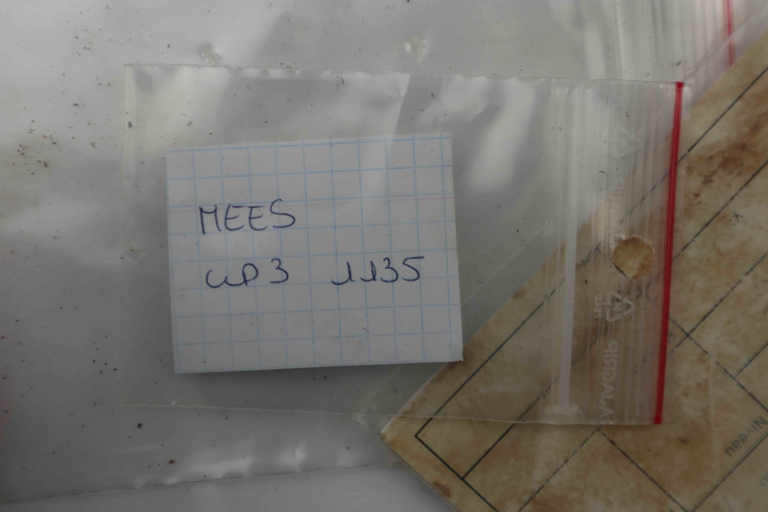 File IMG_6185.jpg