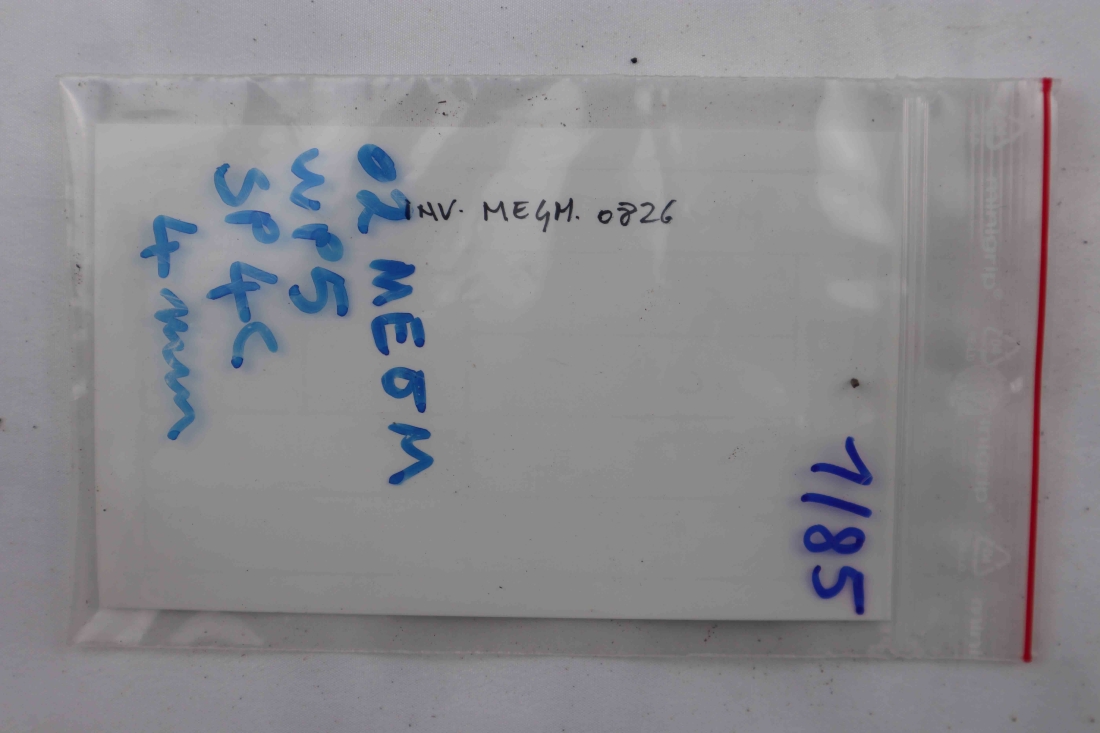 File IMG_6374.jpg