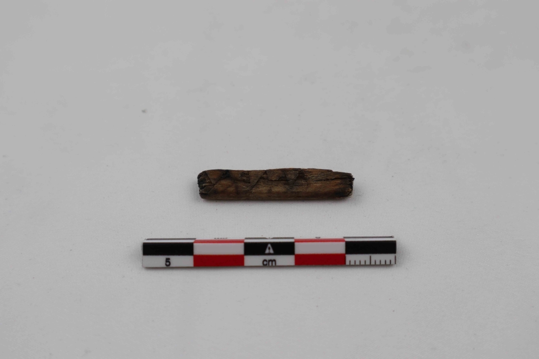 File IMG_2292.jpg